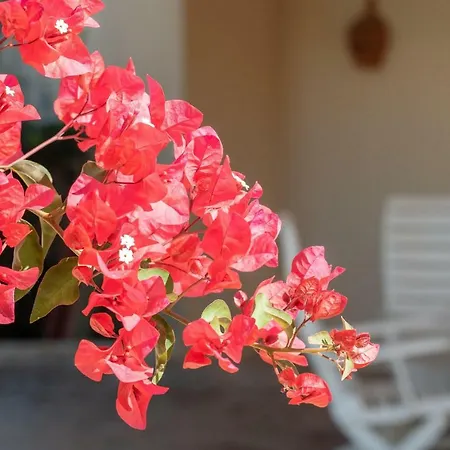 Lovelystay Near Beach Apartamento *